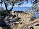 579 Bayview Drive - Photo 34