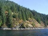 3 Indian Arm - Photo 13