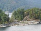 3 Indian Arm - Photo 14