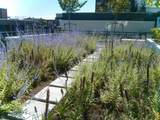 188 Keefer Street - Photo 12