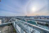 2668 Ash Street - Photo 8