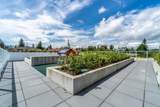 528 King Edward Avenue - Photo 31