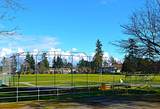 15313 19 Avenue - Photo 1