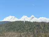 13631 228 Street - Photo 3