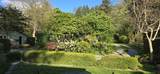 6005 Sechelt Inlet Road - Photo 3