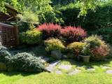 574 Arbutus Road - Photo 36
