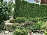 6280 Buchanan Street - Photo 2