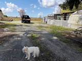 12853 Harris Road - Photo 1