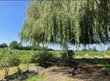 12853 Harris Road - Photo 5
