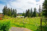 620 Laura Road - Photo 24