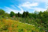 620 Laura Road - Photo 4