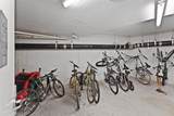 10033 River Drive - Photo 22