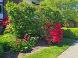 1521 Blackwood Street - Photo 3