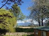 46182 Griffin Drive - Photo 38