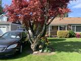 46117 Lewis Avenue - Photo 3