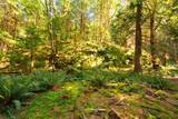 1587 Mount Gardner Road - Photo 39