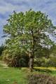 5768 Sutherland Road - Photo 26