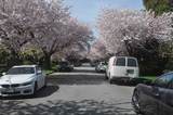 3796 Peter Street - Photo 7