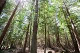 517 Abbott Road - Photo 4