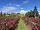 7361 240 Street - Photo 30