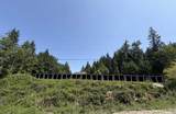 650a Dulcie Road - Photo 18
