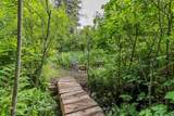 33581 Dewdney Trunk Road - Photo 39