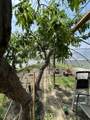 5007 Boundary Road - Photo 33