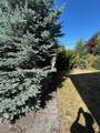 7592 Fraser Street - Photo 14