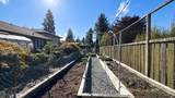 11879 220 Street - Photo 31