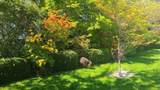1521 Blackwood Street - Photo 27