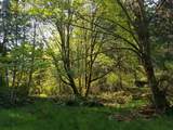 23180 Porlier Pass Road - Photo 23