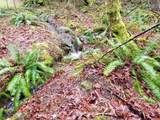 23180 Porlier Pass Road - Photo 24