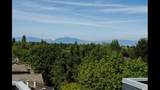 4815 55B Street - Photo 28