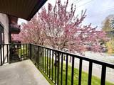 535 Blue Mountain Street - Photo 19