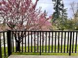 535 Blue Mountain Street - Photo 20