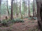 11121 Barnes Road - Photo 4