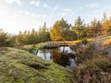 10339 Sunshine Coast Highway - Photo 34