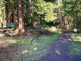 776 Wilks Road - Photo 33