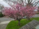11700 Kingfisher Drive - Photo 6