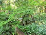 793 Andy's Bay Road - Photo 28