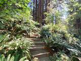793 Andy's Bay Road - Photo 29