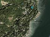 427 Collingwood Road - Photo 36