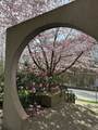 9199 Tomicki Avenue - Photo 20