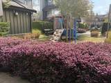 9551 Ferndale Road - Photo 22