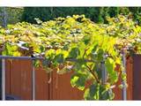 7222 Pandora Street - Photo 10