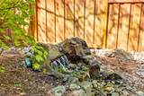 3825 154 Street - Photo 36