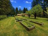 27383 Dogwood Valley Road - Photo 21