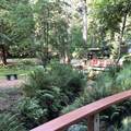 4163 Cedar Drive - Photo 28