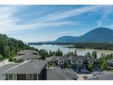 43685 Chilliwack Mountain Road - Photo 16