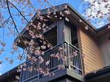 555 Raven Woods Drive - Photo 1